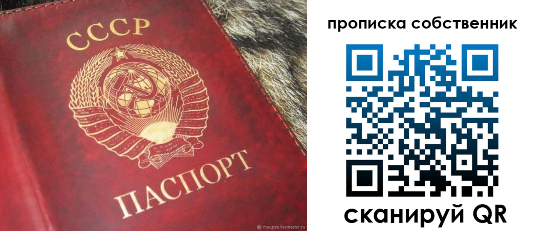 прописка в квартире в Реже
